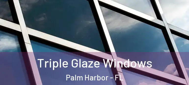 Triple Glaze Windows Palm Harbor - FL