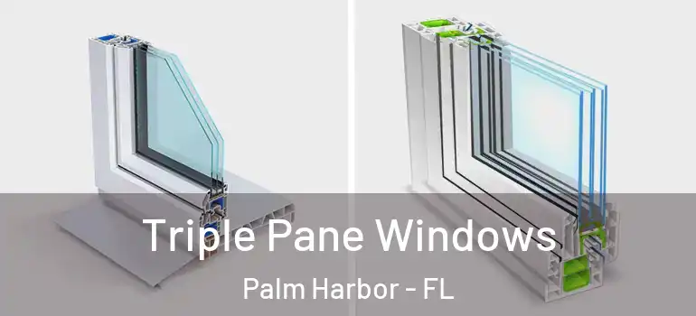 Triple Pane Windows Palm Harbor - FL