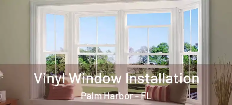 Vinyl Window Installation Palm Harbor - FL