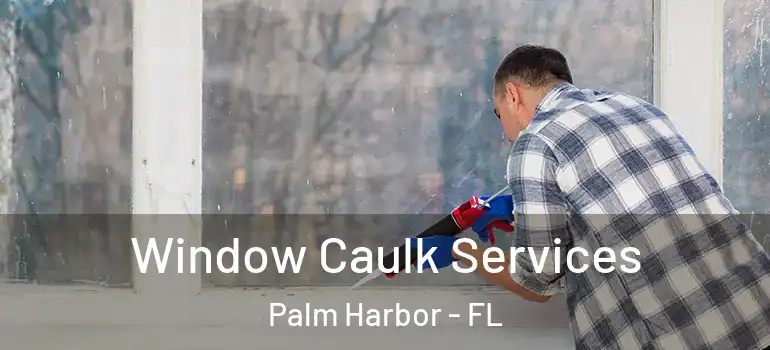 Window Caulk Services Palm Harbor - FL