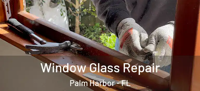 Window Glass Repair Palm Harbor - FL
