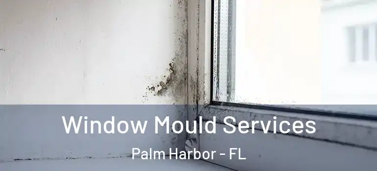 Window Mould Services Palm Harbor - FL