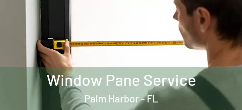 Window Pane Service Palm Harbor - FL