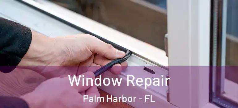 Window Repair Palm Harbor - FL