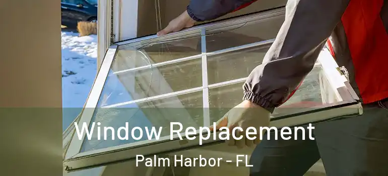 Window Replacement Palm Harbor - FL