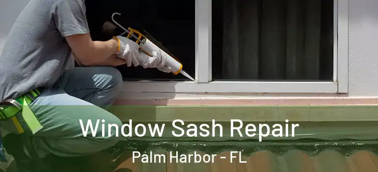  Window Sash Repair Palm Harbor - FL