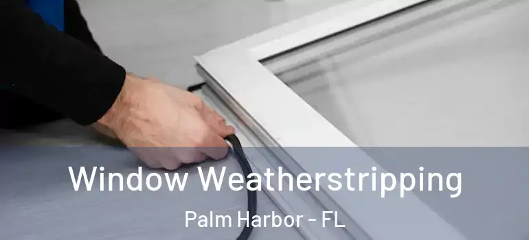 Window Weatherstripping Palm Harbor - FL