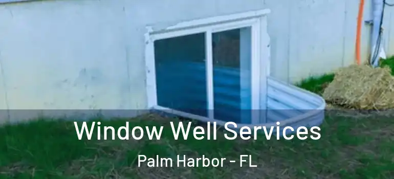 Window Well Services Palm Harbor - FL